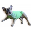 Dog T-shirt “Spring a la Mode Tee”